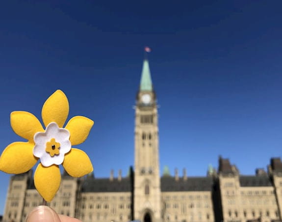 A daffodil shaped pin is held up in front of the Canadian parliament building