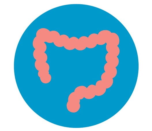 Image of a colon